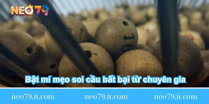 bat-mi-meo-soi-cau-bat-bai-tu-chuyen-gia
