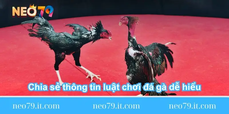 chia-se-thong-tin-luat-choi-da-ga-de-hieu