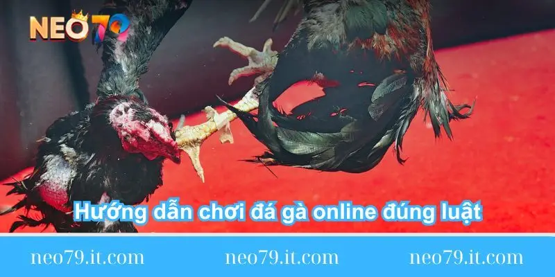 huong-dan-choi-da-ga-online-dung-luat