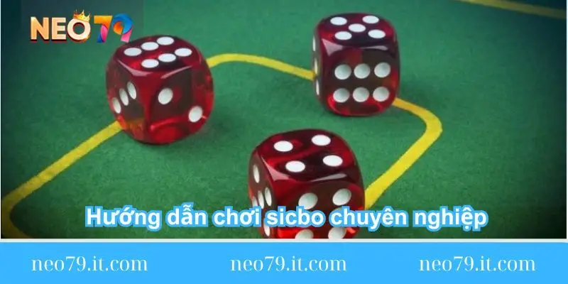 huong-dan-choi-sicbo-chuyen-nghiep