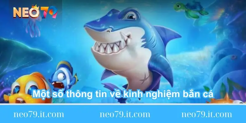 mot-so-thong-tin-ve-kinh-nghiem-ban-ca