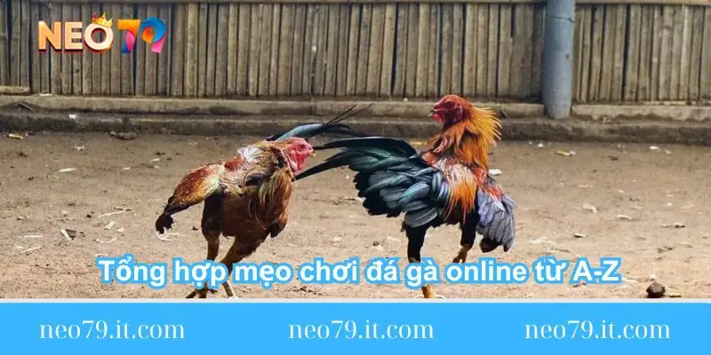 tong-hop-meo-choi-da-ga-online-tu-a-z