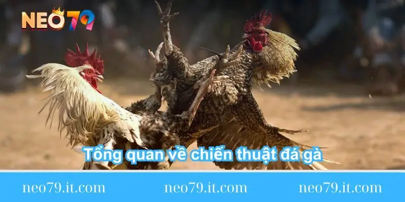 tong-quan-ve-chien-thuat-da-ga